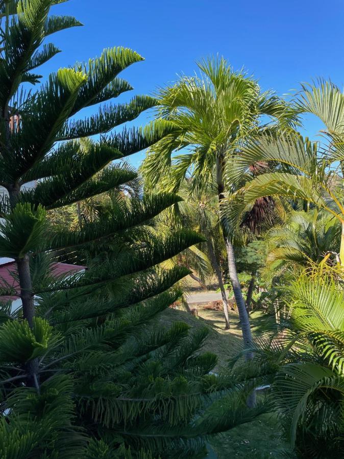 Jardin Sur Mer Terre-De-Haut Exterior foto