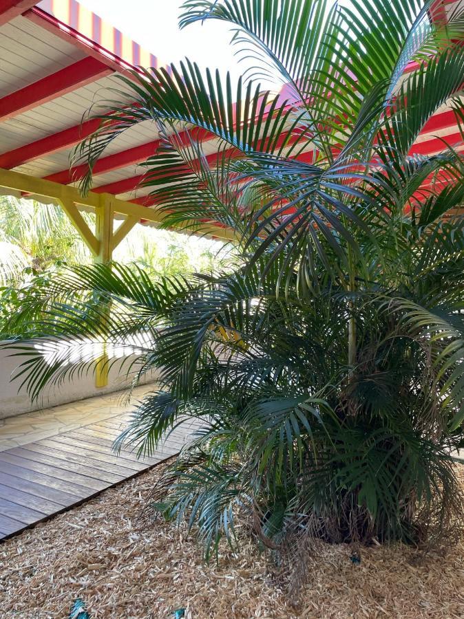 Jardin Sur Mer Terre-De-Haut Exterior foto