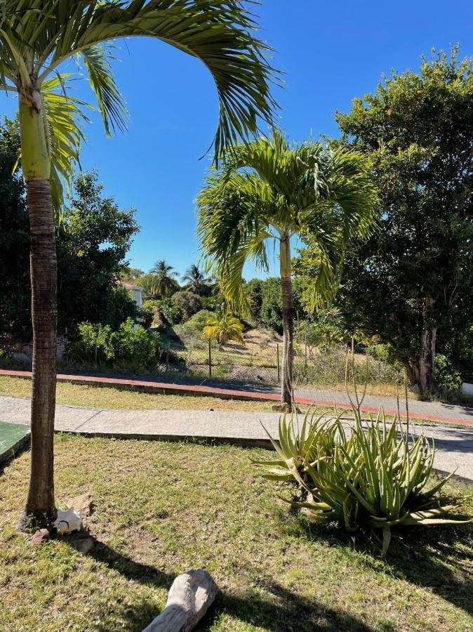 Jardin Sur Mer Terre-De-Haut Exterior foto