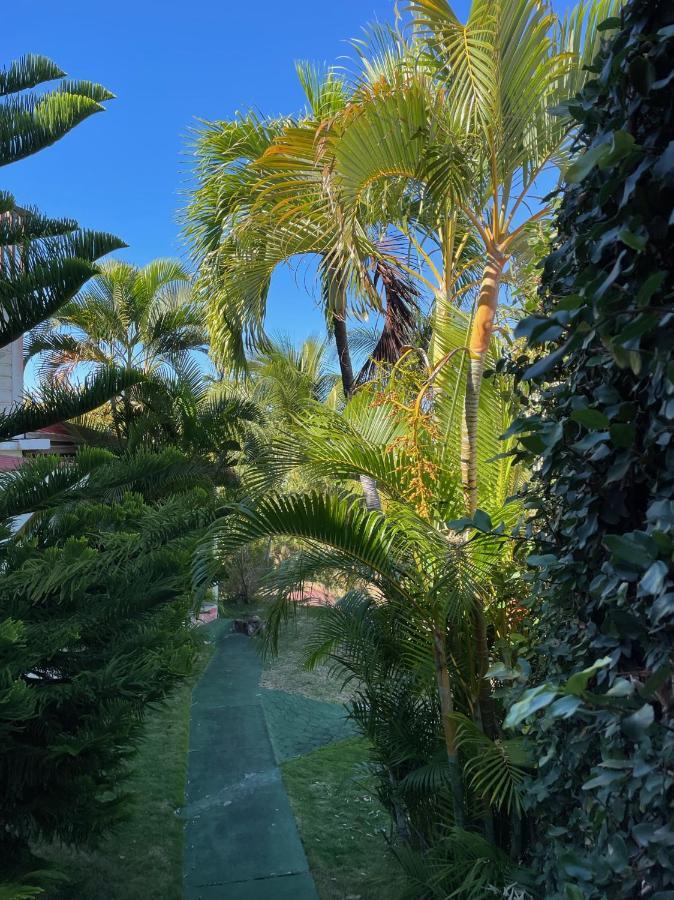 Jardin Sur Mer Terre-De-Haut Exterior foto